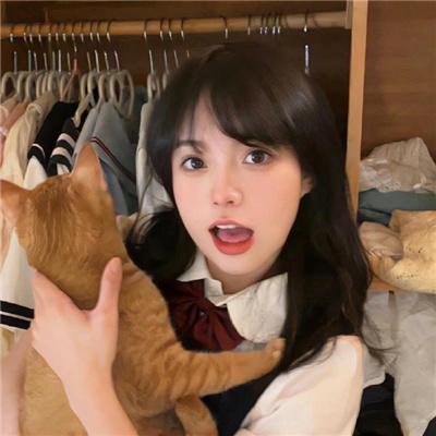 老虎连