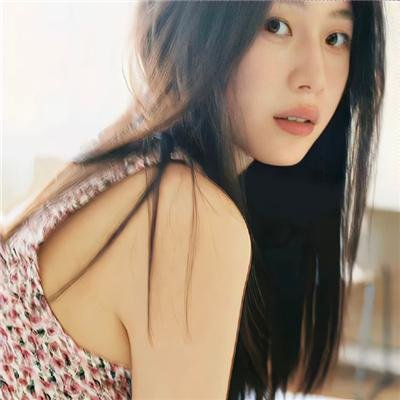 完美的独裁国家