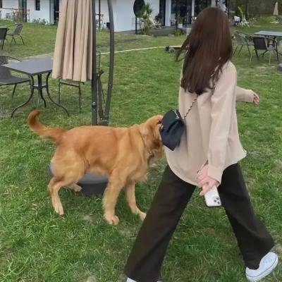 寻衅女孩